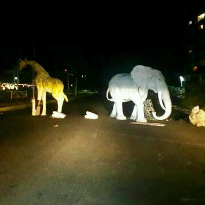 View image on Twitter View image on Twitter