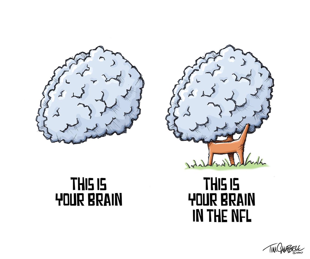tc2oons's tweet photo. NFL Brains #footballconcussions #CTE #NFL https://t.co/tp9hCJuNBR