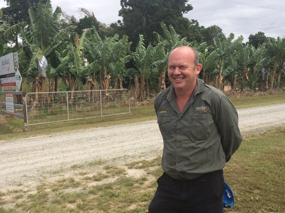 Mackays director Cameron Mackay says it has been challenging times since Panama TR4 disease was detected. <a href="/TheCairnsPost/">Cairns Post</a>