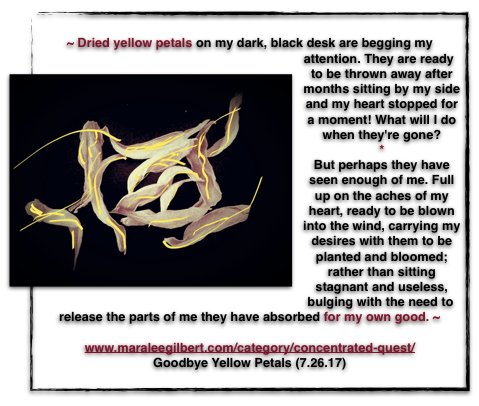 MaraLeeGilbert's tweet photo. New #ConcentratedQuest!Goodbye Yellow Petals.7.26.17.More #DeepQuest posts @ https://t.co/1iPBzXOZBd #blogger #poet #thoughtoftheday #spirit https://t.co/aMiNL70f2G