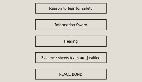 ChiefKnoll's tweet image. Are you looking for information on seeking a #PeaceBond? Check this link for some guidance. justice.gc.ca/eng/cj-jp/vict…