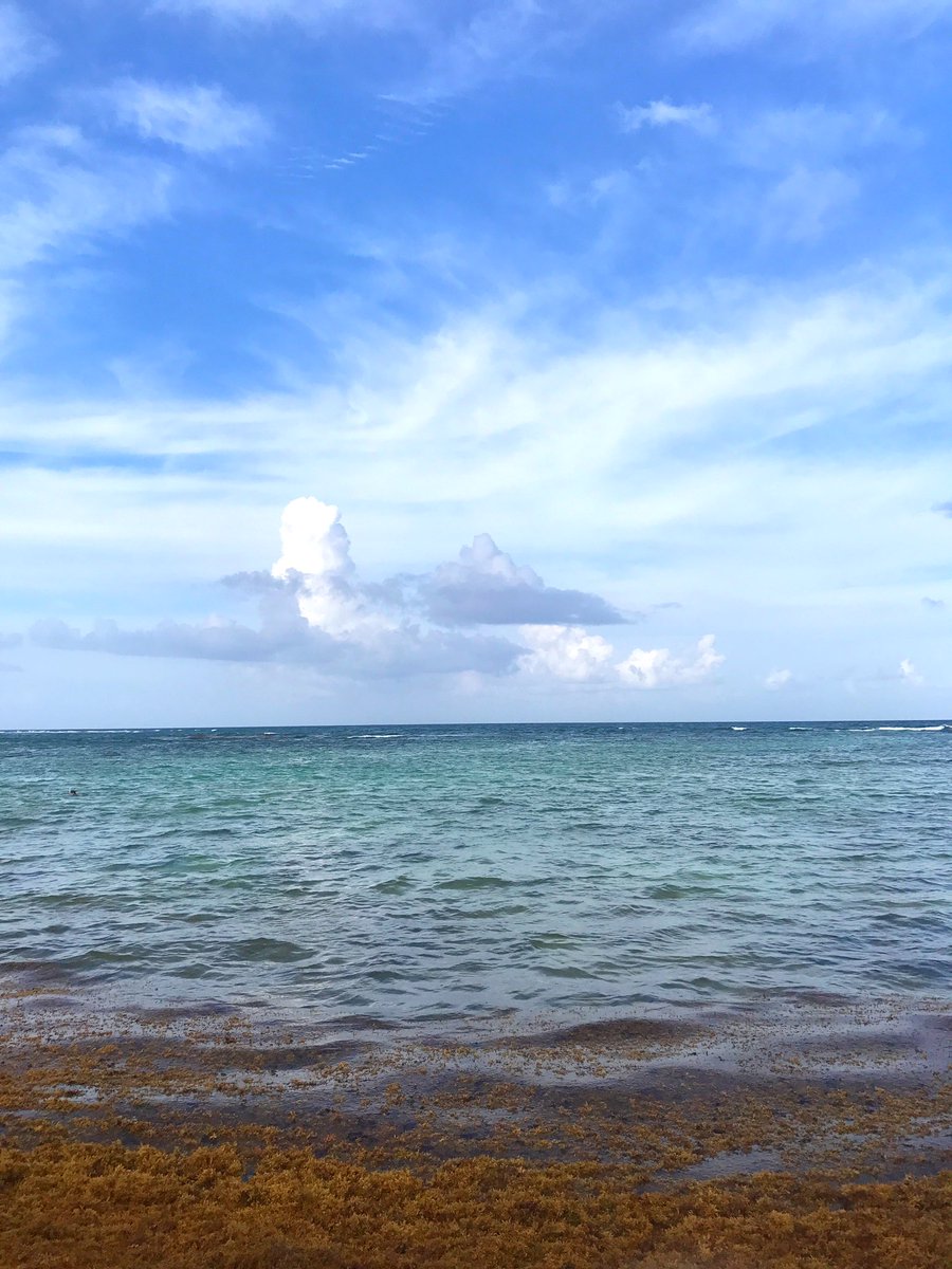 anhyeel's tweet photo. Yo, tan ave que volaba cada vez más cerca del cielo. Tú, tan pez que se sumergía cada vez más en el fondo del mar. #tottem https://t.co/EZfMpEmbJU