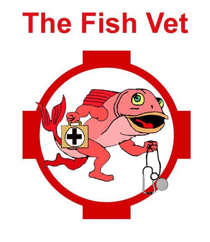 thefishvet's tweet photo. ‘Transgender fish’ due to wastewater outfalls in the UK. https://t.co/xgHlqJT3DM https://t.co/Fwo73OkMCt