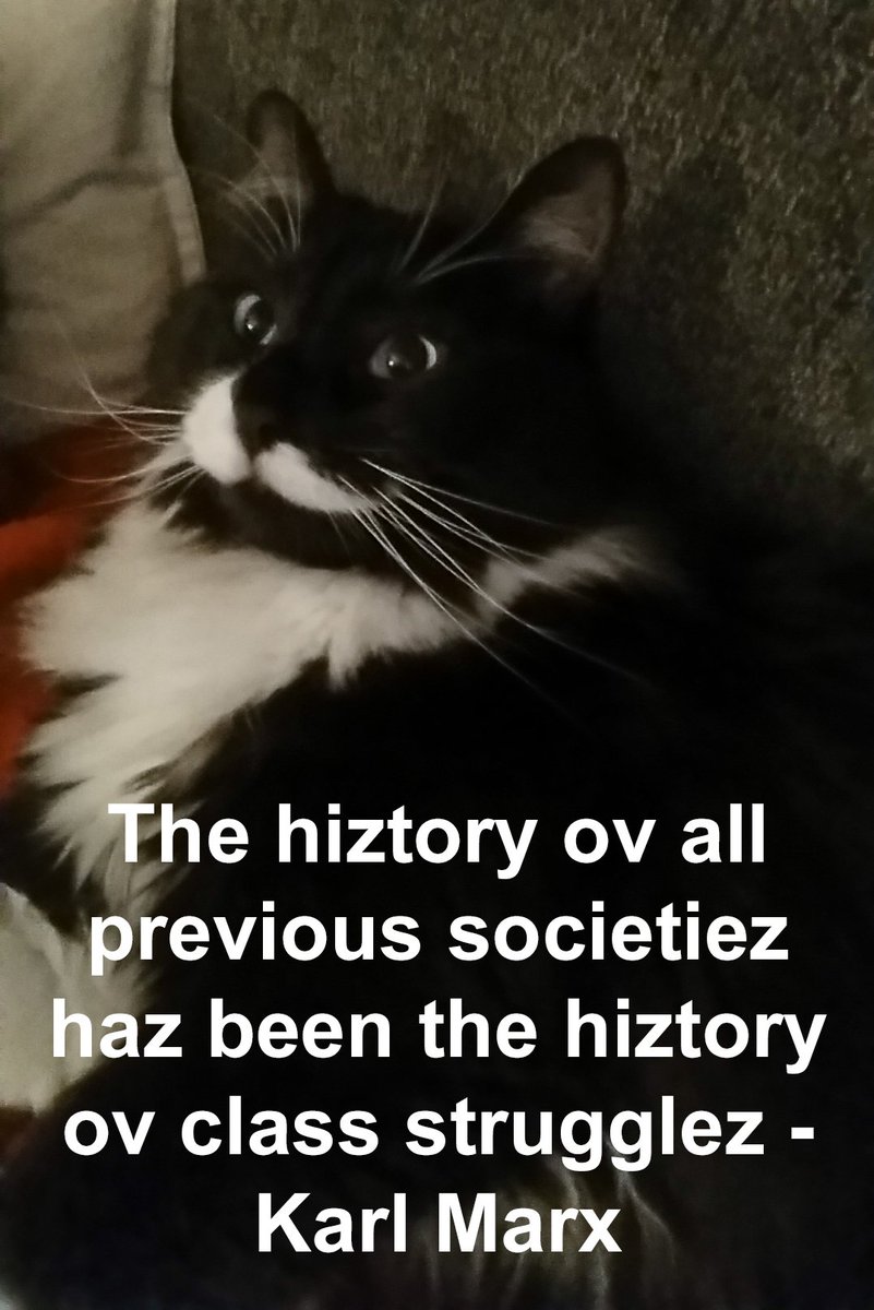 PhiLOLsophycats's tweet photo. PhiLOLsophycats - The ideas of the greatest philosophers from the mouths of the world's greatest cats. #Philosophy #cats #History #marx https://t.co/Tzjp0ob7vN