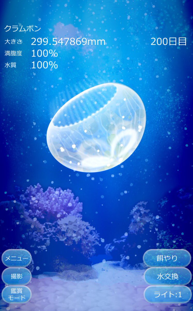 クラゲ育成