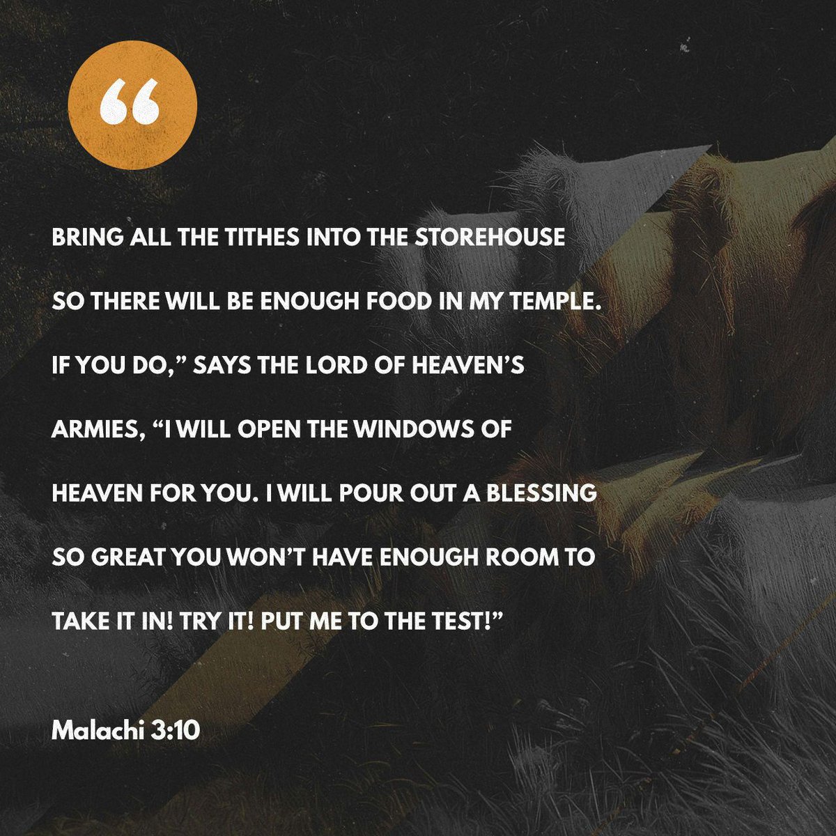 lostdesertgirl's tweet photo. Malachi 3:10
#ChristianBibleStudy #ChristianQuotes #BibleQuotes  #Jesus  #BibleStudy https://t.co/evs4ZhWi81