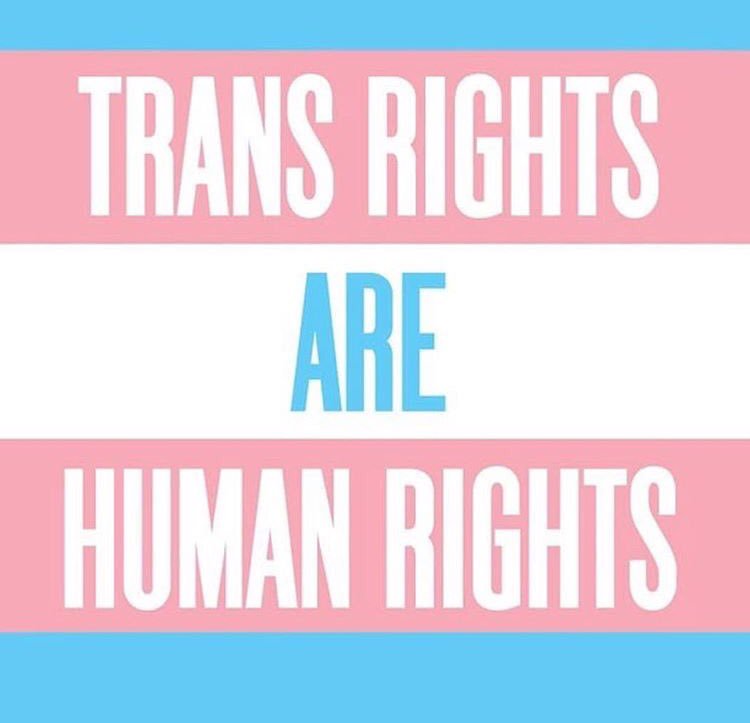 Dr. Kristopher Wells tweet media