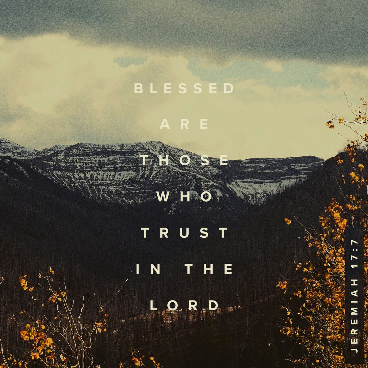 lostdesertgirl's tweet photo. Jeremiah 17:7-8
#ChristianBibleStudy #ChristianQuotes #BibleQuotes  #Jesus  #BibleStudy https://t.co/6nCaXNqdct