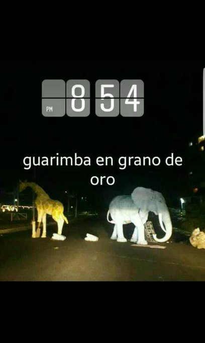 View image on Twitter View image on Twitter