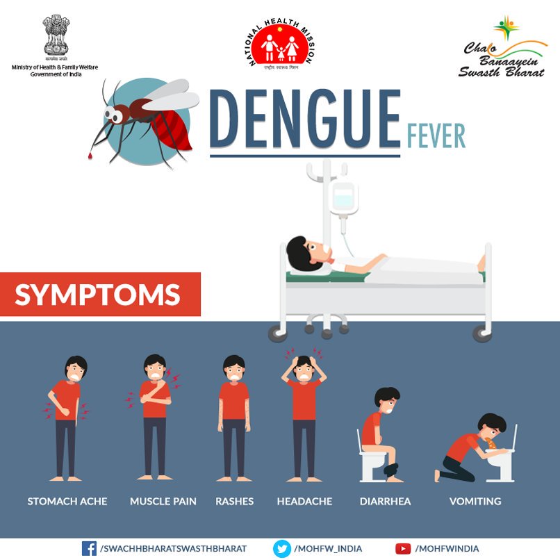 Dengue Disease Symptoms Remedies Health, Dengue Symptoms and Remedies, Dengue prevention methods,About Dengue Disease,