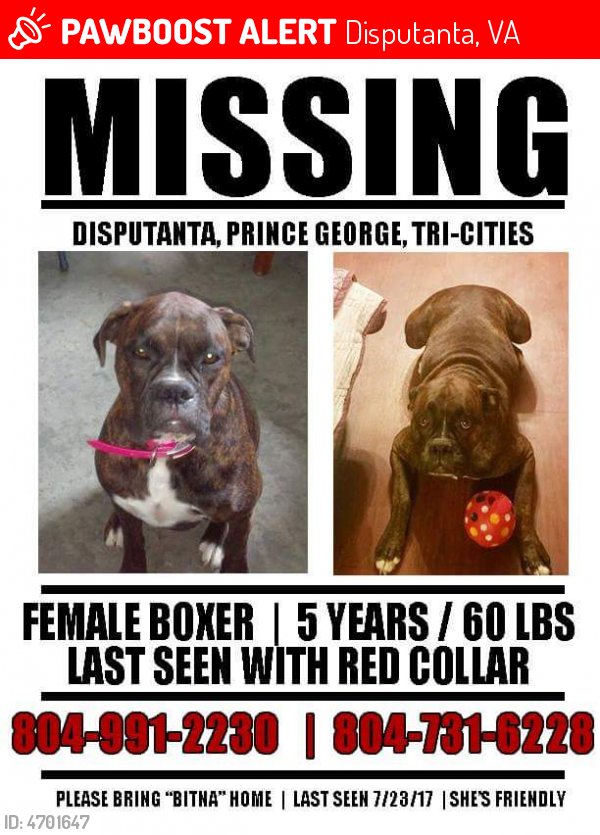 PawBoost's tweet photo. Please RT! Have you seen Bitna? #missing #lost #pet in #Disputanta #VA 23842 https://t.co/iR1AD4lJfy https://t.co/c6DAng5KYx