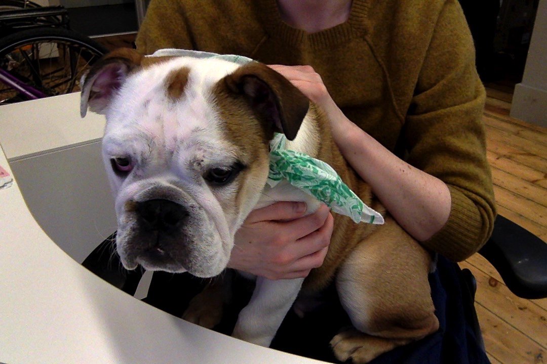 summerscope's tweet photo. Someone’s helping me code!!!! #digbyday at @clover_au https://t.co/CbMjiqpVcK