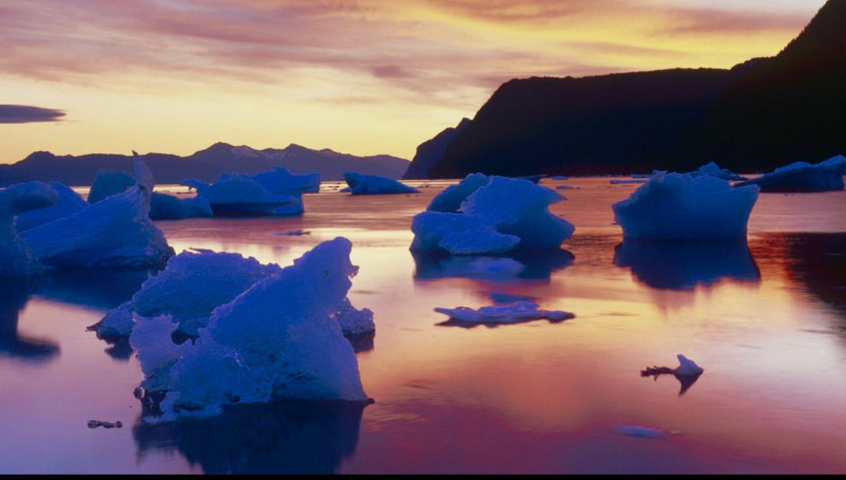 COLD COTERIE 
Icebergs at sunset.
(Inside Passage, Alaska)