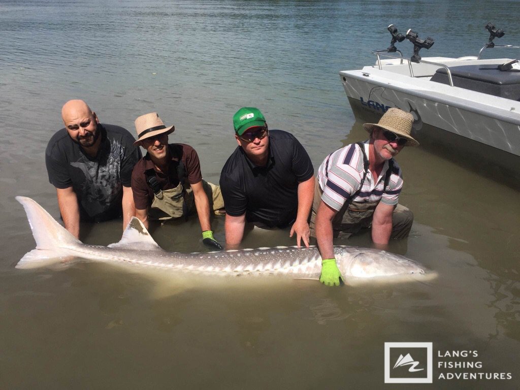 Lang's Fishing Adv. tweet media