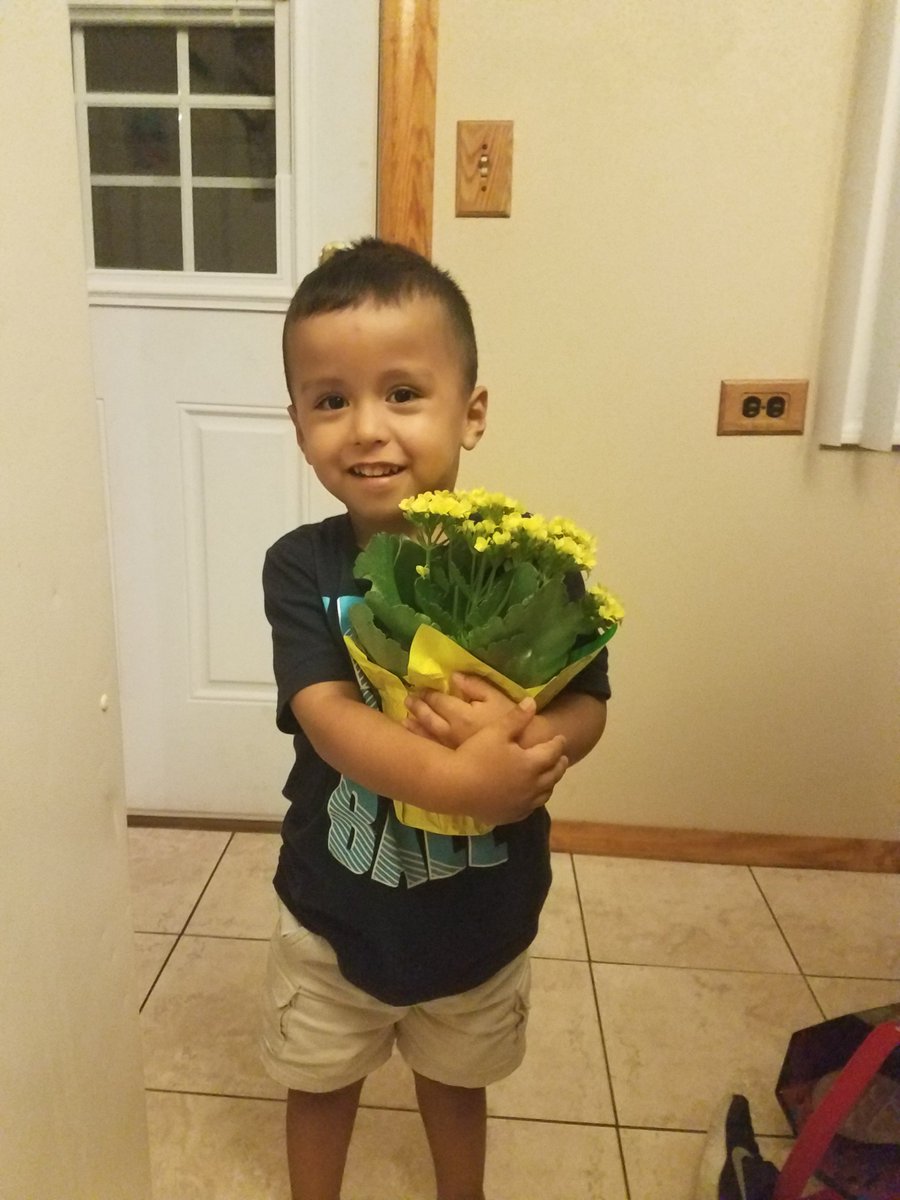 csilva52414's tweet photo. I dont think there is a 3 yr old who gets happier then he does when i bring flowers home from class... @NutmegSomething #bio120sum17 https://t.co/UunjObLz5d