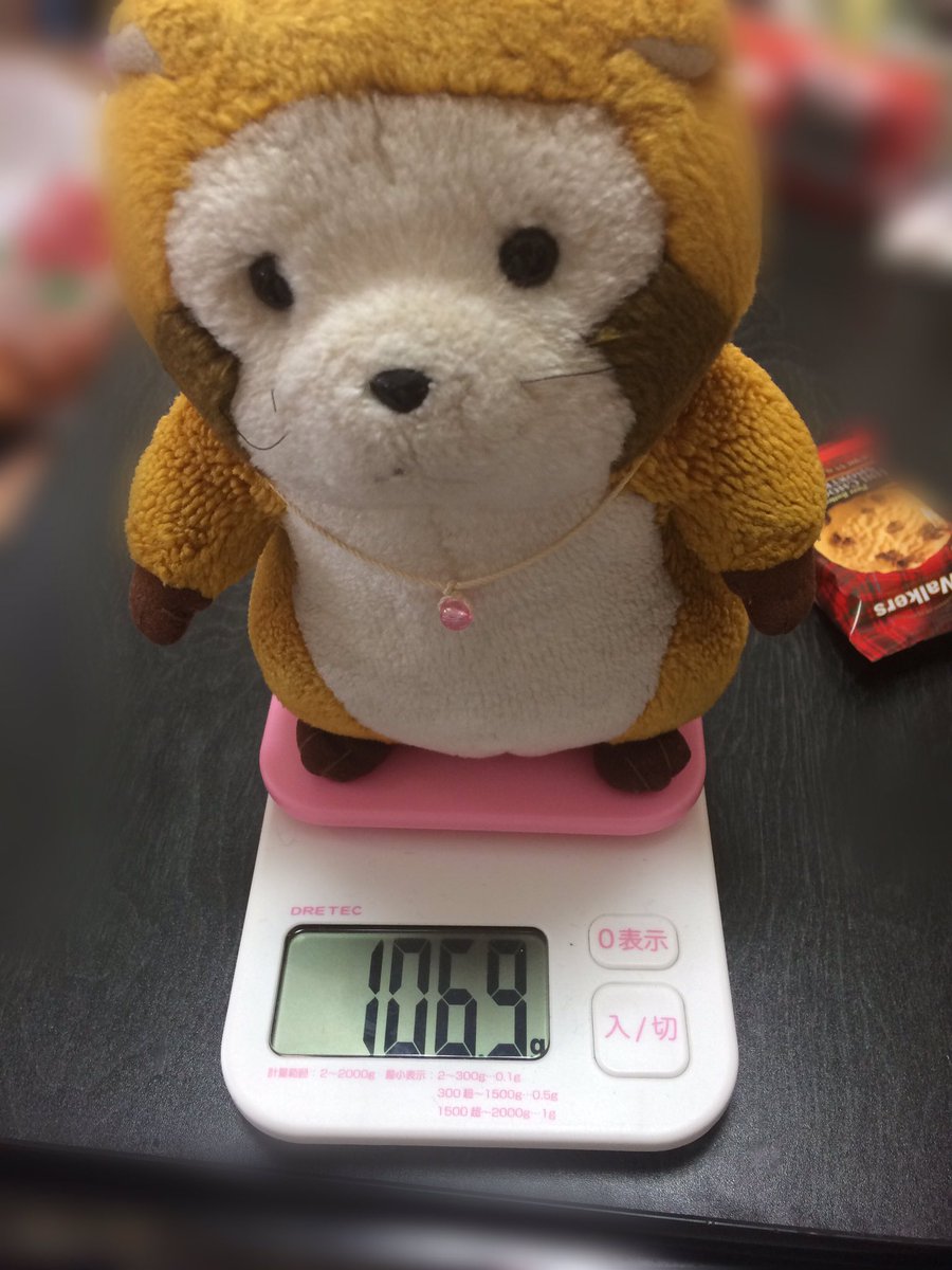 rascal197752's tweet image. おやつの #ふらのメロンゼリー すごく大きいにゃ！！
.
.
.わぁ😳😳みずきの5倍の重さにゃ…！！
*.
*.
*☼*―――――*☼*―――――
#ラスカル #ラスカル部 #あらいぐまラスカル #富良野 #ゼリー #ぬいぐるみ #ぬい撮り #メロンゼリー