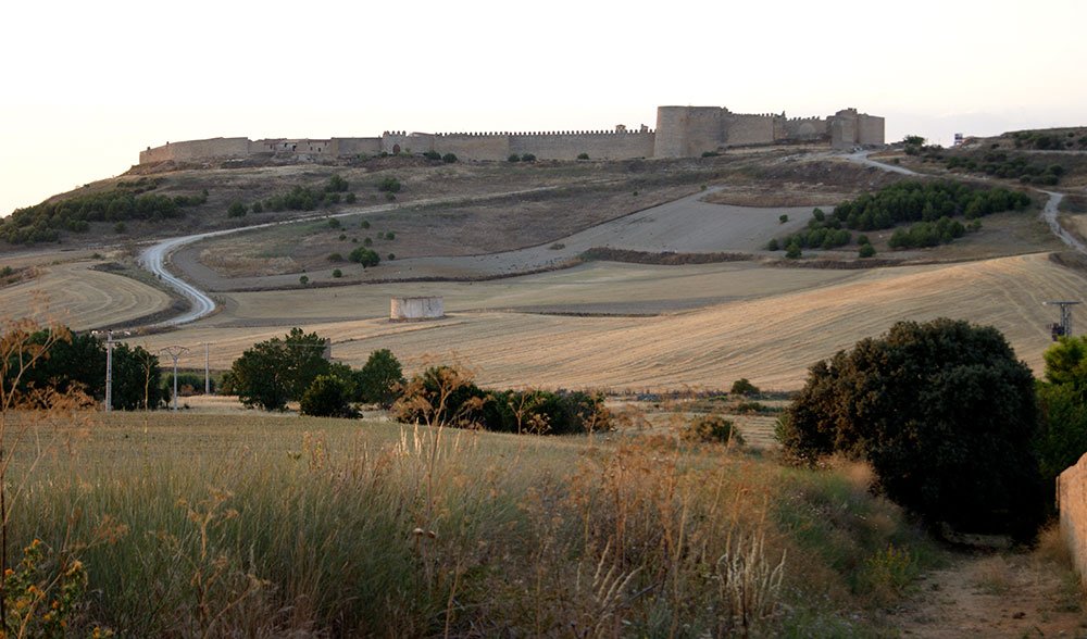Revista Más Castilla y León tweet media