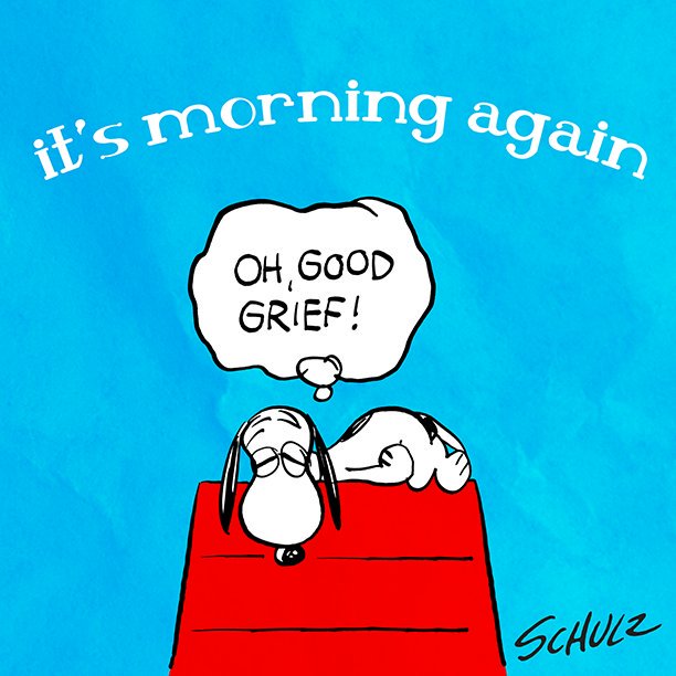 Good morning, Montreal! https://t.co/400iDavir7