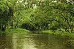 mintuaim tweet picture