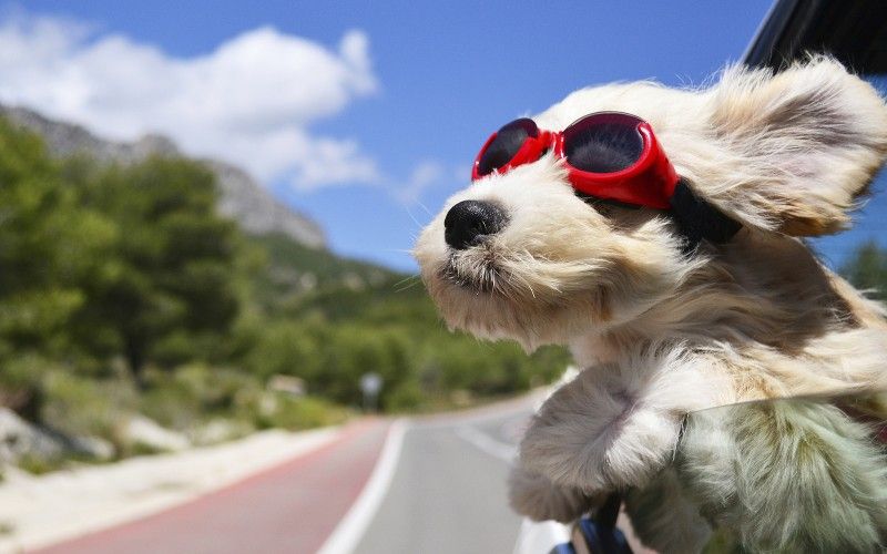 Viwanda_de's tweet photo. 8 Tips to Stay Injury Free during summer https://t.co/2pJFptvTNb The Daily Safety Guides is online: https://t.co/cDYYCH3H4R https://t.co/jr2KkFIcBU