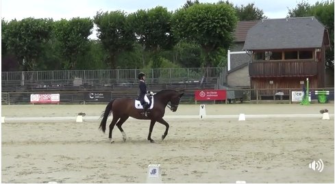 VSmithDressage's tweet photo. A beautiful lesson of life and riding, put the sound on the video and be prepared to  shed a little tear... https://t.co/GEBELgp8ae https://t.co/vuy0KQn9OU