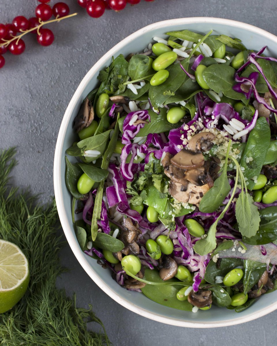 GreenGurus_de's tweet photo. Leicht, vegan und ultrafrisch – you don’t want to miss this! Nur noch im Juli bei uns im Shop: Die Edamame Chili Bowl. #byebyefoodcoma https://t.co/xQseOZ22ru