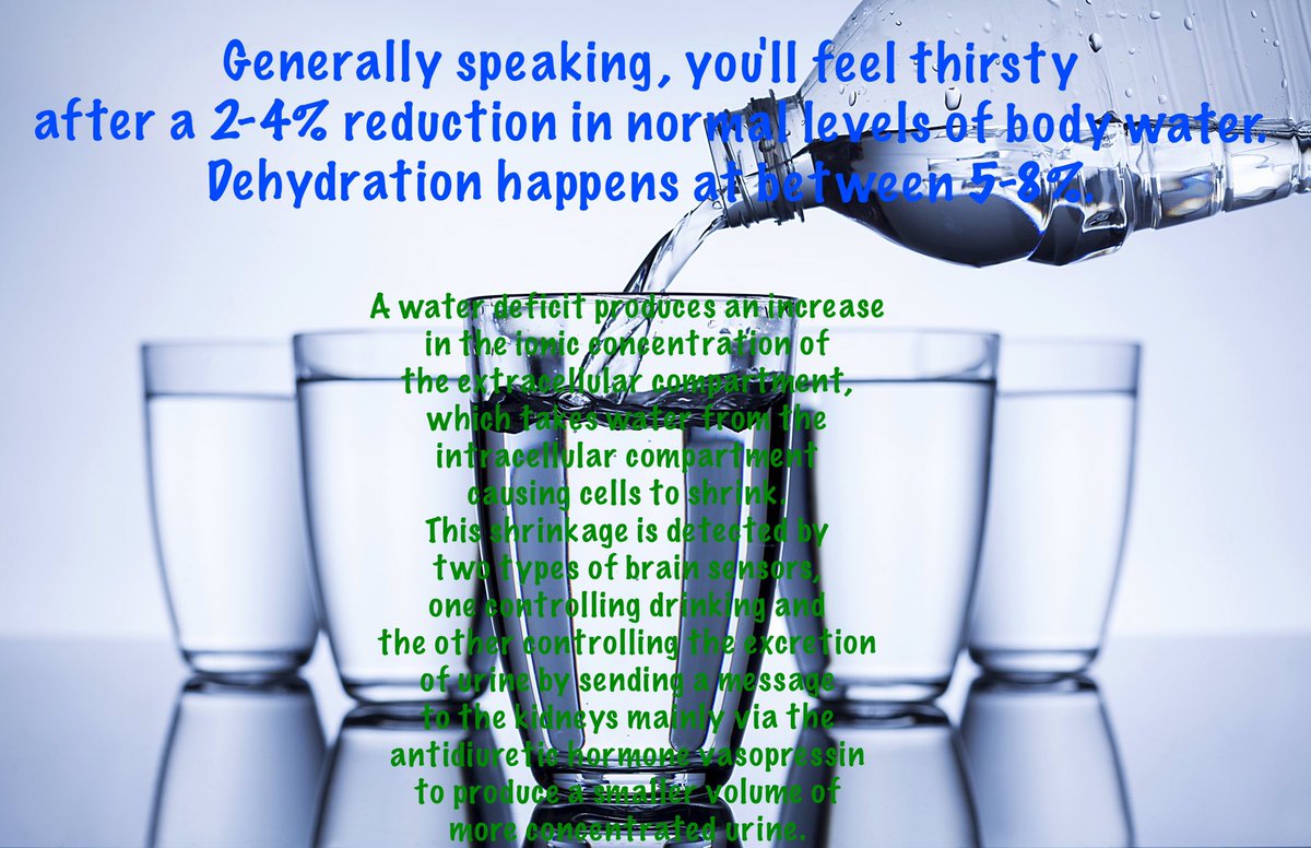 HelpOurFamilySA's tweet image. Water is essential for life. From the time that primeval species ventured from the oceans to land, water stays a major key to survival. 💦💦