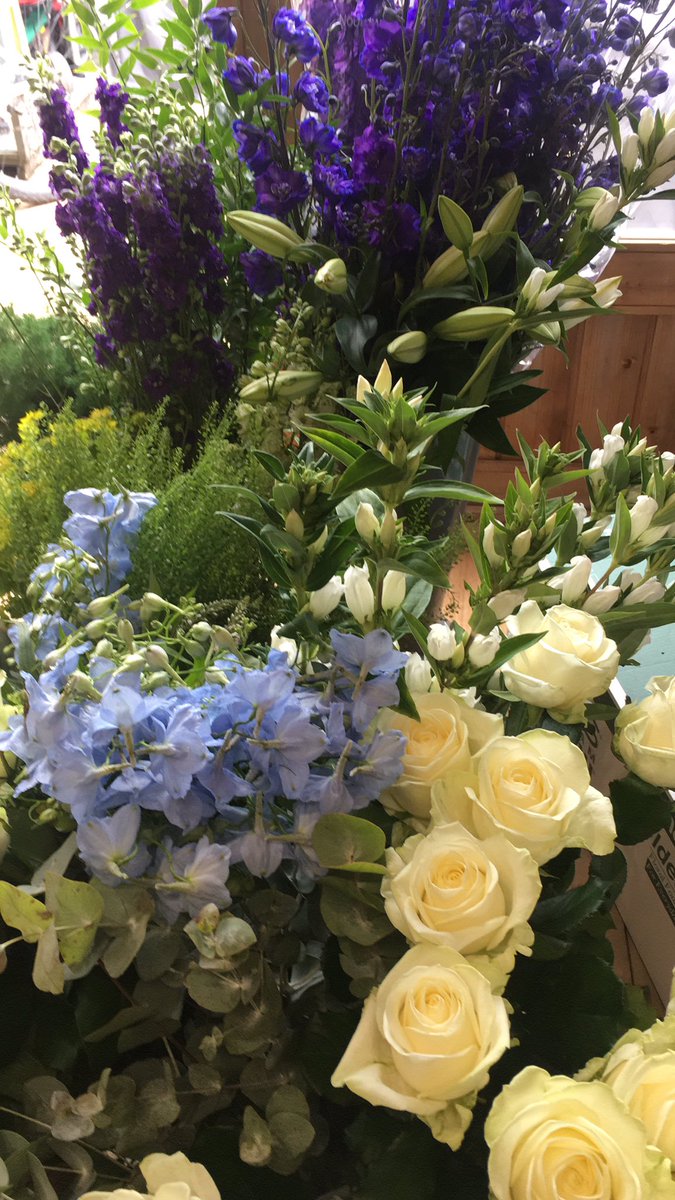 Freshwater Flowers (freshwaterflowe) Twitter