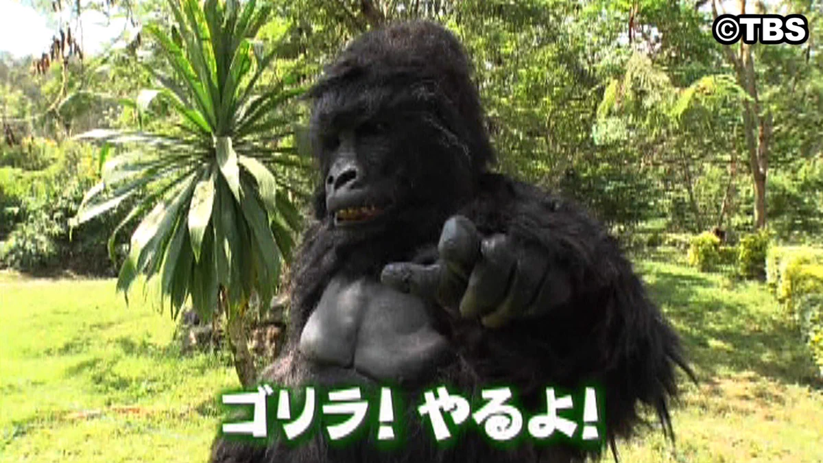 原 西 ゴリラ