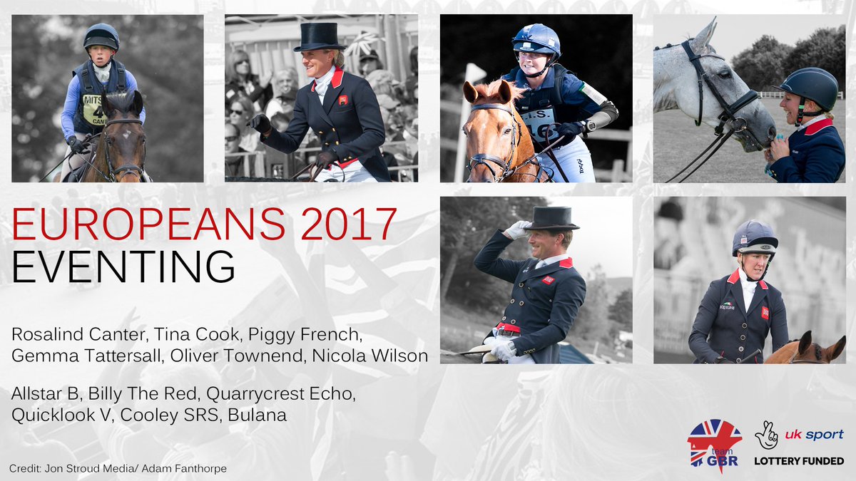 BritEquestrian tweet picture