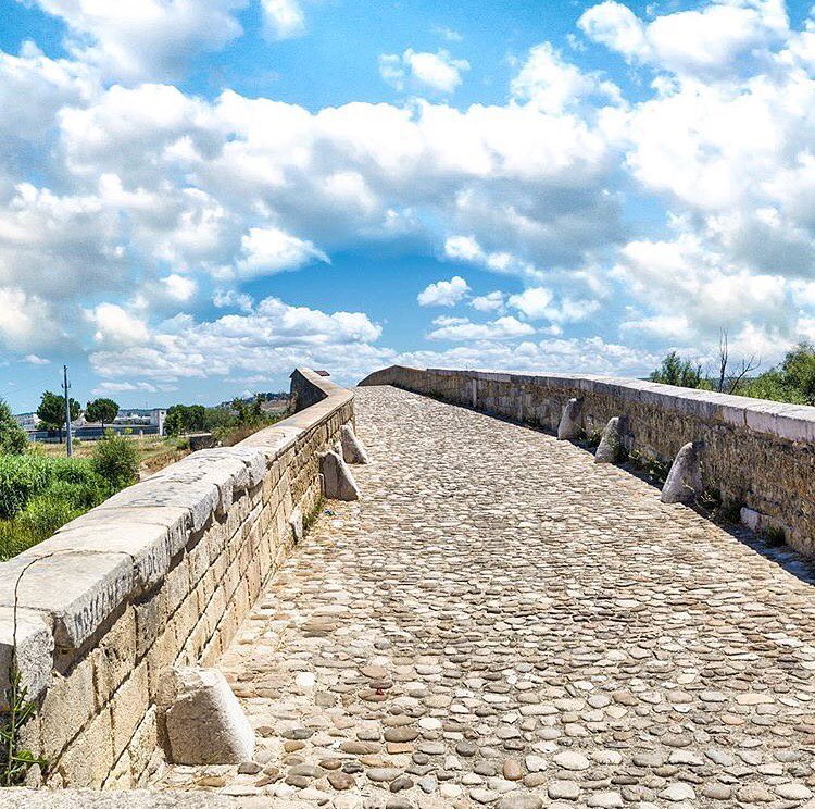 viaggiarepuglia's tweet photo. Buongiorno da Canosa!
Passeggiamo nella storia, sull'antico ponte romano 👉 https://t.co/46YVOjfKf1 #WeAreinPuglia
📸 @paolopartipilo https://t.co/vr5apt0CgO