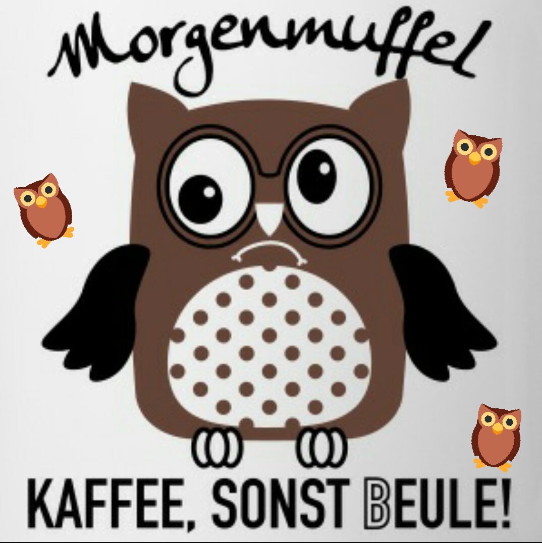Pautzi Guten Morgen Good Morning Goodmorningworld Gutenmorgen Kaffee Morgenmuffel Eule Owlpower