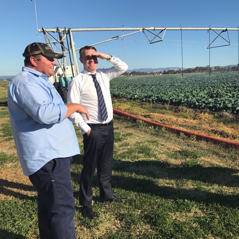 mphand's tweet photo. Fantastic to meet with @ANZ_AU customer Qualipac third generation growers operating since 1906 in the #LockyerValley #sustainablefarming https://t.co/9KPBVJrI9b