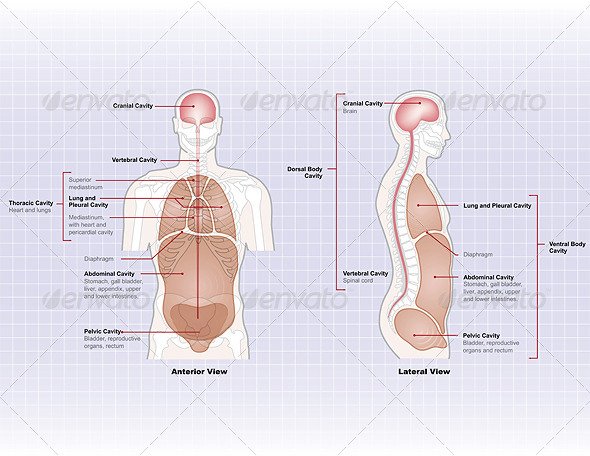 download preliminary note on the inversion