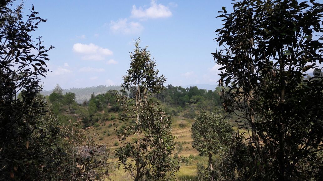 UttarakhandProp's tweet photo. 100 Nali Himalayan View Land #kyala #Ranikhet

#Nainital #Uttarakhand #UttarakhandProperties #LandforsaleinkyalaRanikhetUttarakhand https://t.co/uAHLbIu8lI
