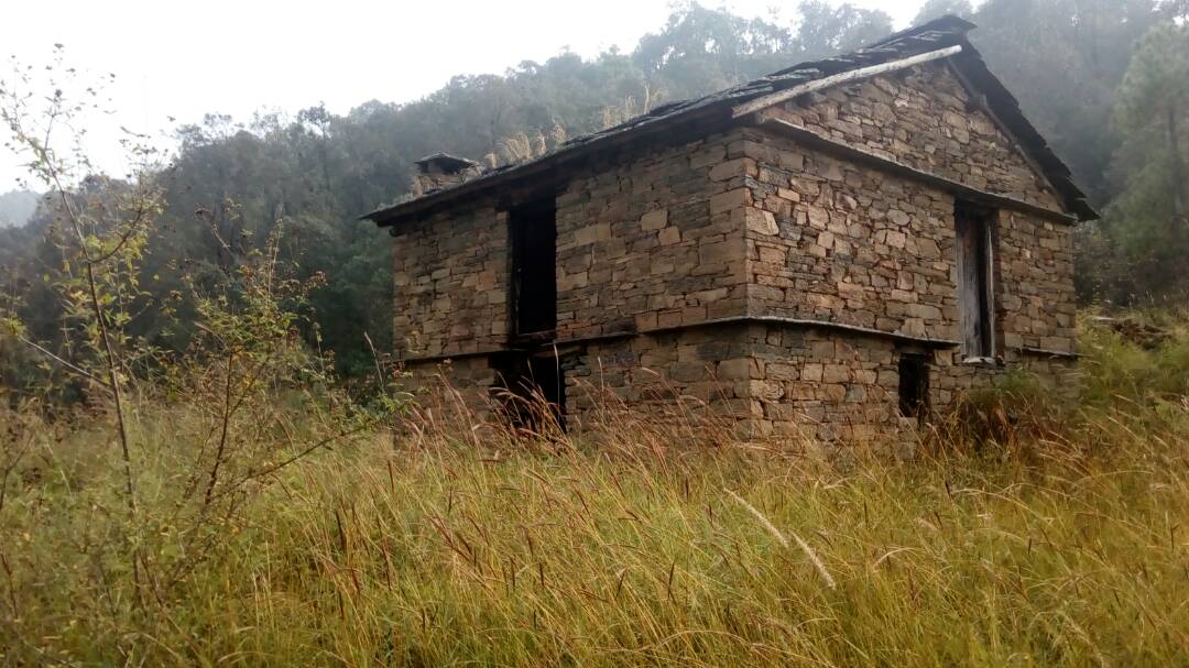 UttarakhandProp's tweet photo. 100 Nali Himalayan View Land #kyala #Ranikhet

#Nainital #Uttarakhand #UttarakhandProperties #LandforsaleinkyalaRanikhetUttarakhand https://t.co/uAHLbIu8lI
