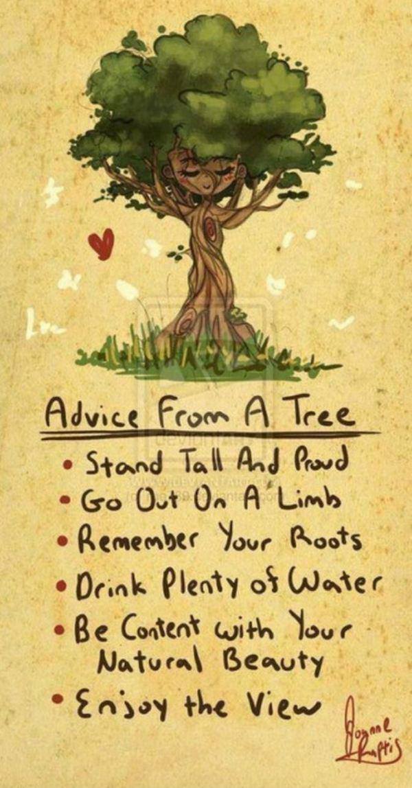 EmotMotion's tweet image. Confident advice from a tree!! #KidsConfidence