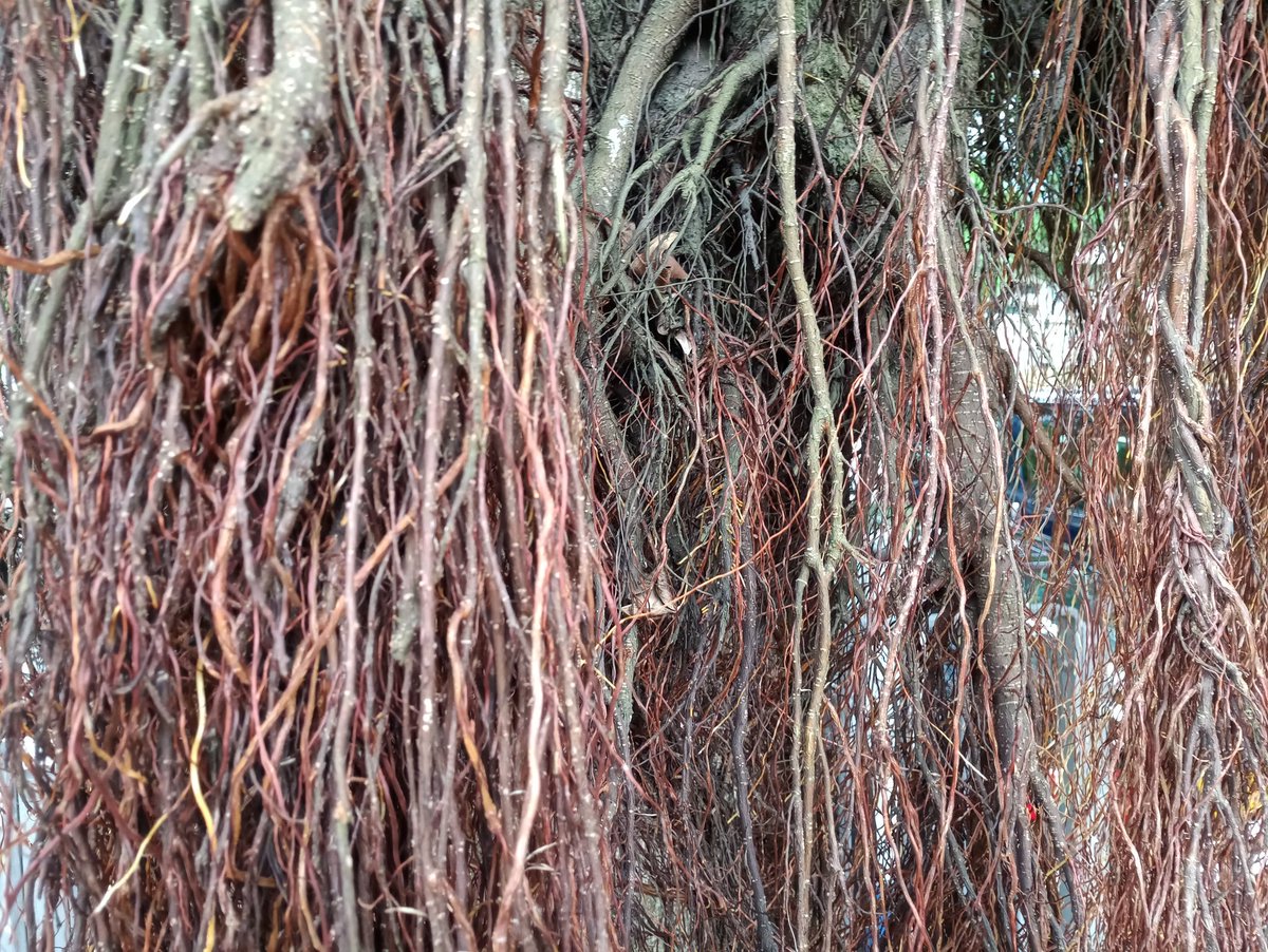 zero0signal's tweet image. Oggi testiamo le fotocamere di #meizupro7 in giro per Hong Kong!! @HDblog @MEIZU