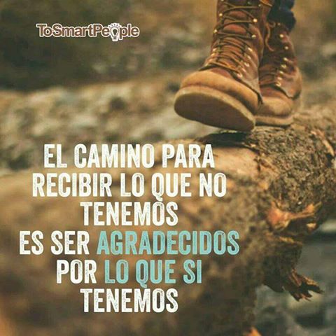 2spvenezuela's tweet photo. Agradece cada pequeño obsequio que la vida te regala. #ToSmartPeople #Momentos #Talento #Musica #ProductoraDeEventos #Entretenimiento https://t.co/iFS9IXaqxy