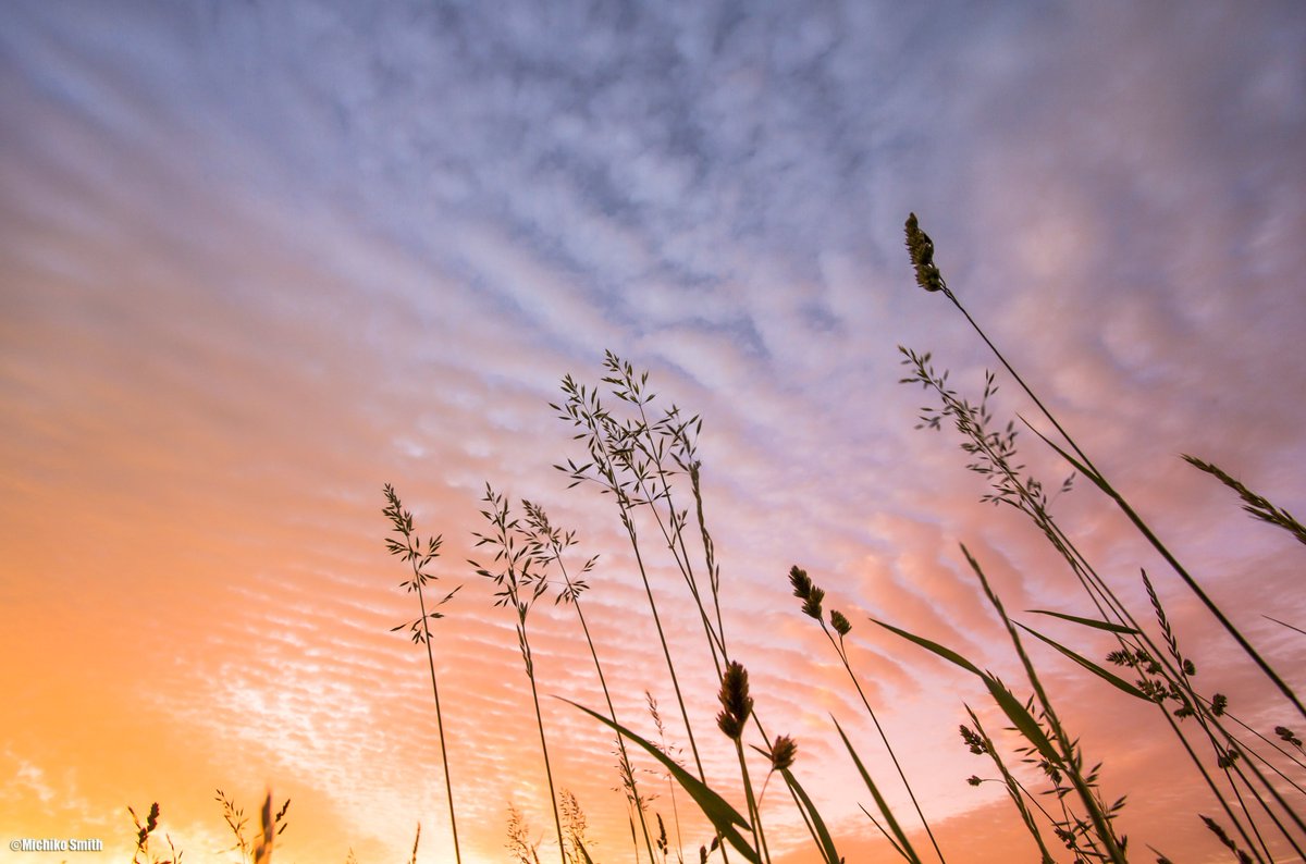 Michiko_Smith's tweet photo. @JonMitchellITV @Hudsonweather @KeeleyDonovan @OwainWynEvans @WakeExpress #StormHour #mackerel #sunrise #sky #weather #Normaton, W Yorks. https://t.co/Tz2G2I2Jal