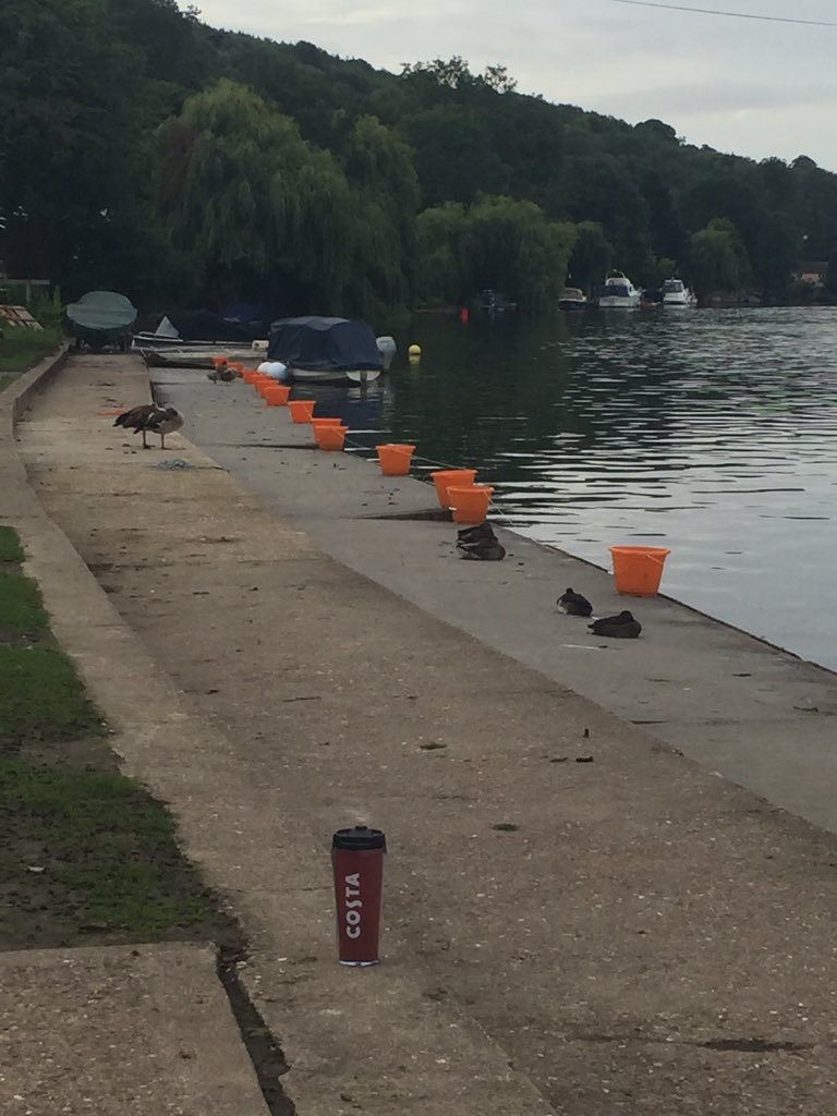 HenleyRC's tweet photo. @rowclassifieds @TeesRowingClub @kendraquinn12 @dithena @madsthedog @Kodi_bear @tkcarter82 @AaronIJackson @katie_kap @LwtEmmaBird @AgecroftRC Your wish is my command! Canadian 0 Egyptian 2 Ducks 6 This is today's #OrangeBucket Report brought to you by, er, Costa 😀🚣🏼♀️☕️ https://t.co/X4MGFklehV