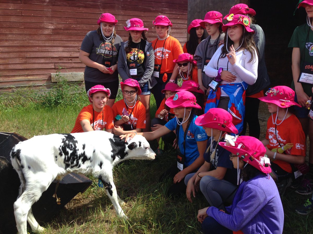 Checking out the calf born this morning,  on our visit to the farm <a href="/GGCSOARBC/">SOAR 2020</a> #locavore