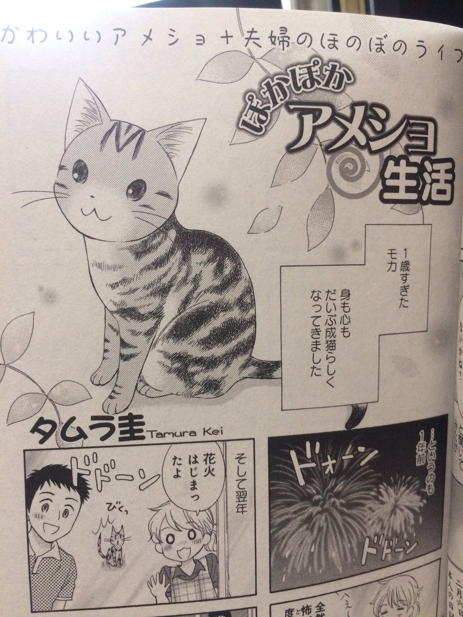 ●お知らせ●
只今発売中の別冊ねこぷに「うっとり猫号」に4コマエッセイを掲載して頂いてます!成長して子猫の時にはなかった猫らしい部分を見せてくれるモカ?よろしくお願いします^ ^ 