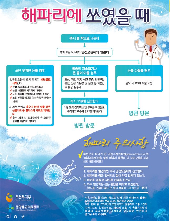 해파리에 쏘였을 때 대처법