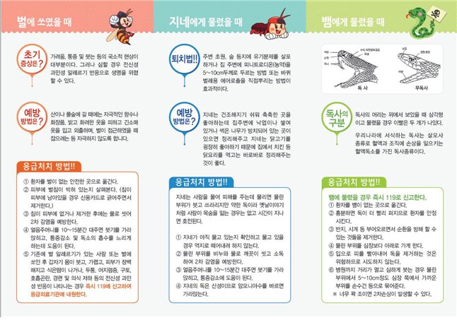 뱀, 독충 예방법 및 대처법
