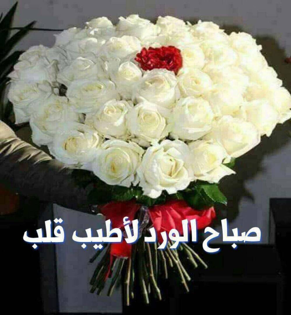 SalahShak's tweet photo. @M_______A1216  https://t.co/aYJp8YrUCC