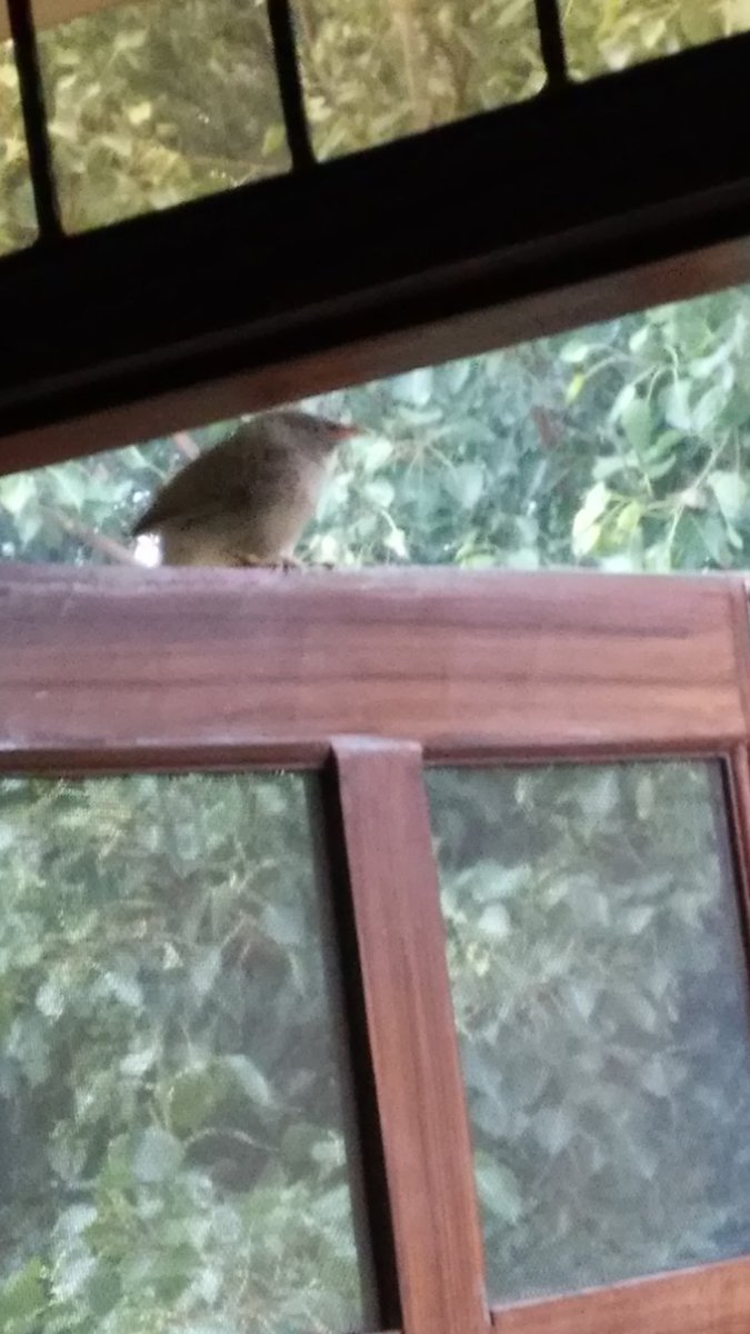 leetweets7's tweet image. 