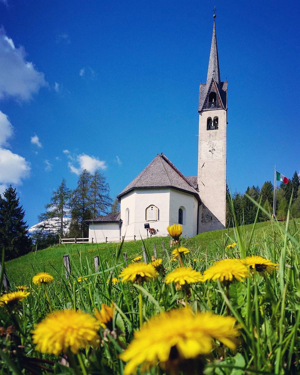 Buongiorno amici di Twitter! Buon risveglio dai prati di #Caviola a #Falcade #ValleDelBiois bit.ly/2tT267H #VisitVeneto