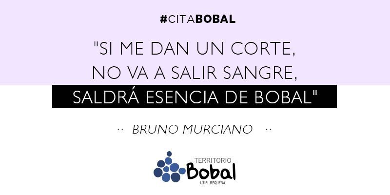 Territorio Bobal tweet media