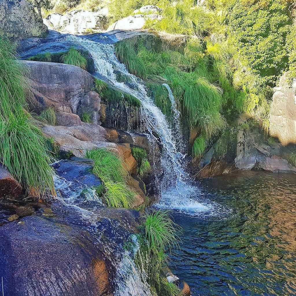 CesarBase's tweet photo. Garganta Jaranda
Charco del Trabuquete
#LaVera #Verateando https://t.co/vYwHhwqrRM